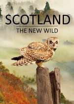Watch Scotland - The New Wild Movie4k