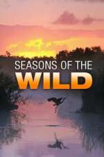 Watch Seasons of the Wild Movie4k