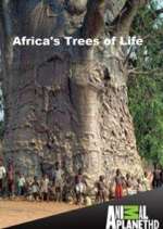Watch Africa's Trees of Life Movie4k