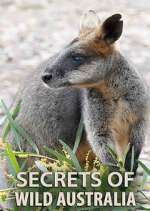 Watch Secrets of Wild Australia Movie4k