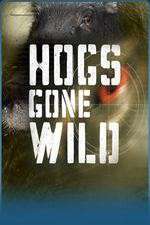 Watch Hogs Gone Wild Movie4k