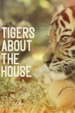 Watch Tigers About the House Movie4k