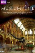 Watch BBC Museum of Life Movie4k