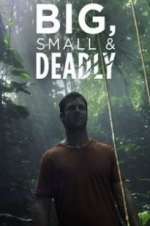 Watch Big, Small & Deadly Movie4k