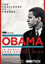 Watch Obama: In Pursuit of a More Perfect Union Movie4k