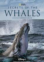 Watch Secrets of the Whales Movie4k