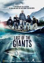 Watch Last of the Giants: Wild Fish Movie4k