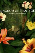 Watch Kingdom of Plants 3D Movie4k