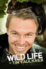 Watch The Wild Life of Tim Faulkner Movie4k