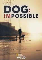 Watch Dog: Impossible Movie4k