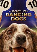 Watch The Secret Life of Dancing Dogs Movie4k