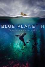 Watch Blue Planet II Movie4k