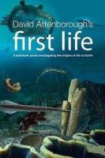 Watch David Attenborough's First Life Movie4k