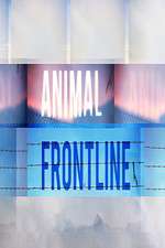 Watch Animal Frontline Movie4k