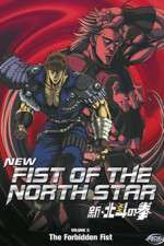 Watch New Fist of the North Star Movie4k