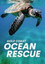 Watch Gold Coast Ocean Rescue Movie4k
