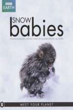 Watch Snow Babies Movie4k