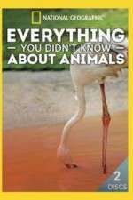 Watch Everything You Didnt Know About Animals Movie4k