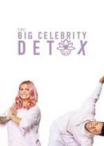 Watch The Big Celebrity Detox Movie4k