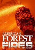 Watch American Forest Fires: The Untold Story Movie4k