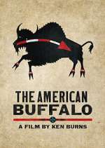 Watch The American Buffalo Movie4k