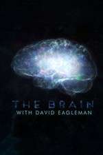 Watch The Brain with Dr David Eagleman Movie4k