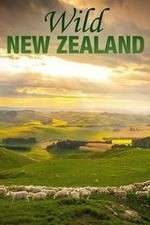 Watch Wild New Zealand Movie4k